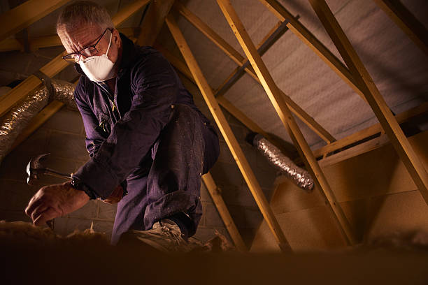 Best DIY Insulation Kits and Guidance in Fox Farm College, WY